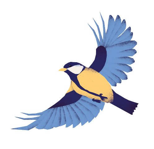 Graphic drawing of a bird, designed by Eline Dimmendaal